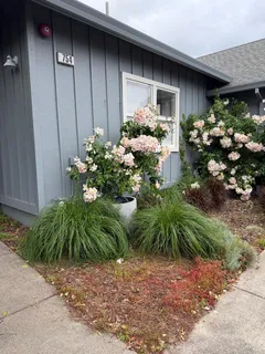 $1,499,999 | 754-756 West Spain Street, Sonoma, CA 95476