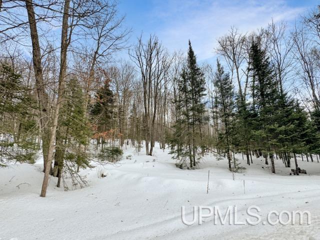 176 East Lake Emily Road Crystal Falls, MI 49920 - Photo 16 of 17