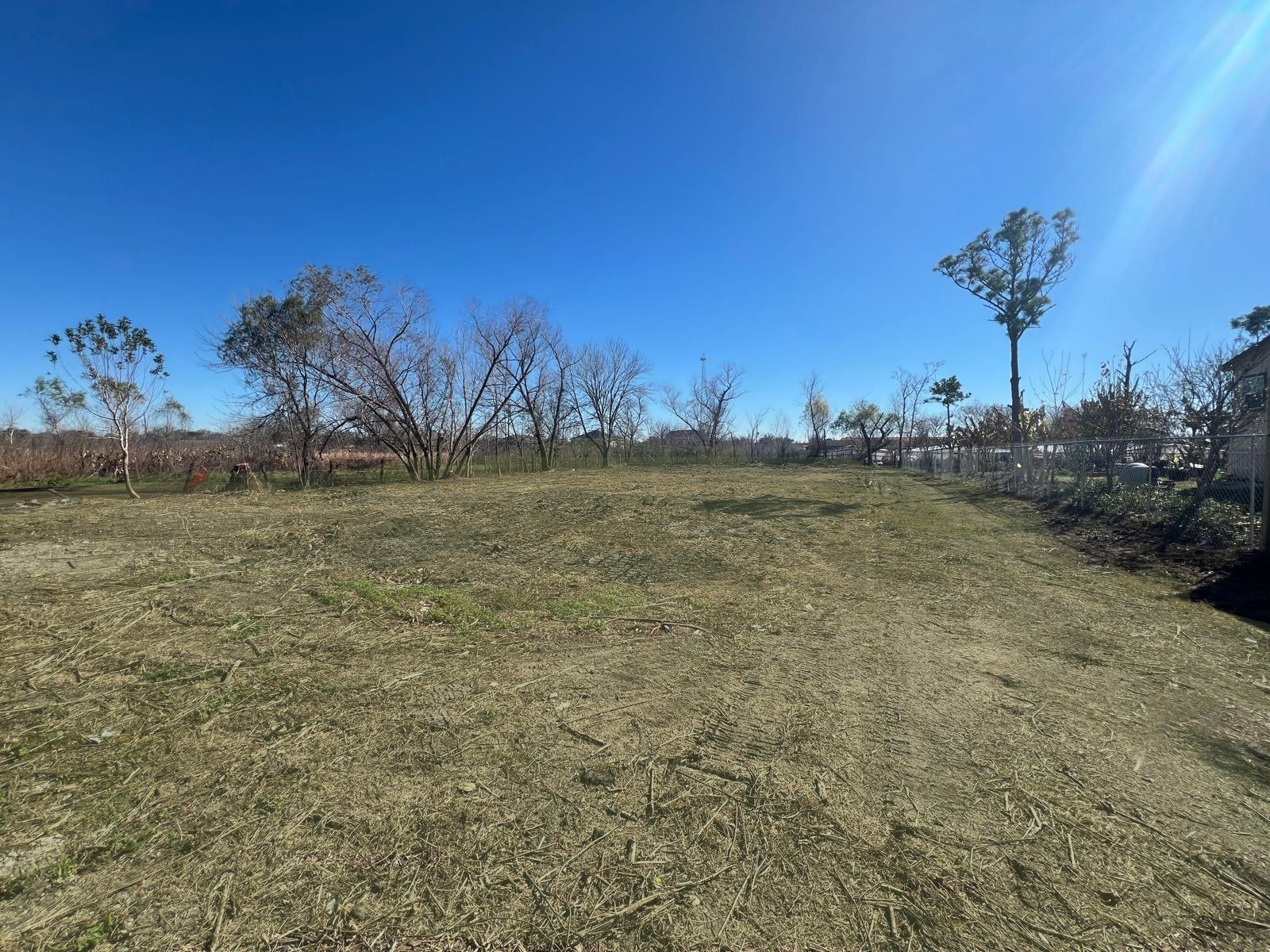 7106 Summer Lane Rosharon, TX 77583 - Photo 13 of 13 a view of a yard with a tree