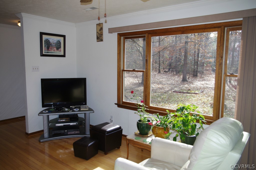 5900 Cattail Road Charles City, VA 23030 - Photo 7 of 20 Gallery Image 7
