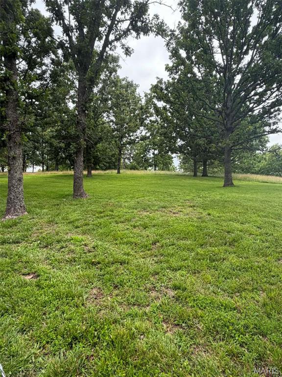 1898 King Road Mountain Grove, MO 65711 - Photo 31 of 31