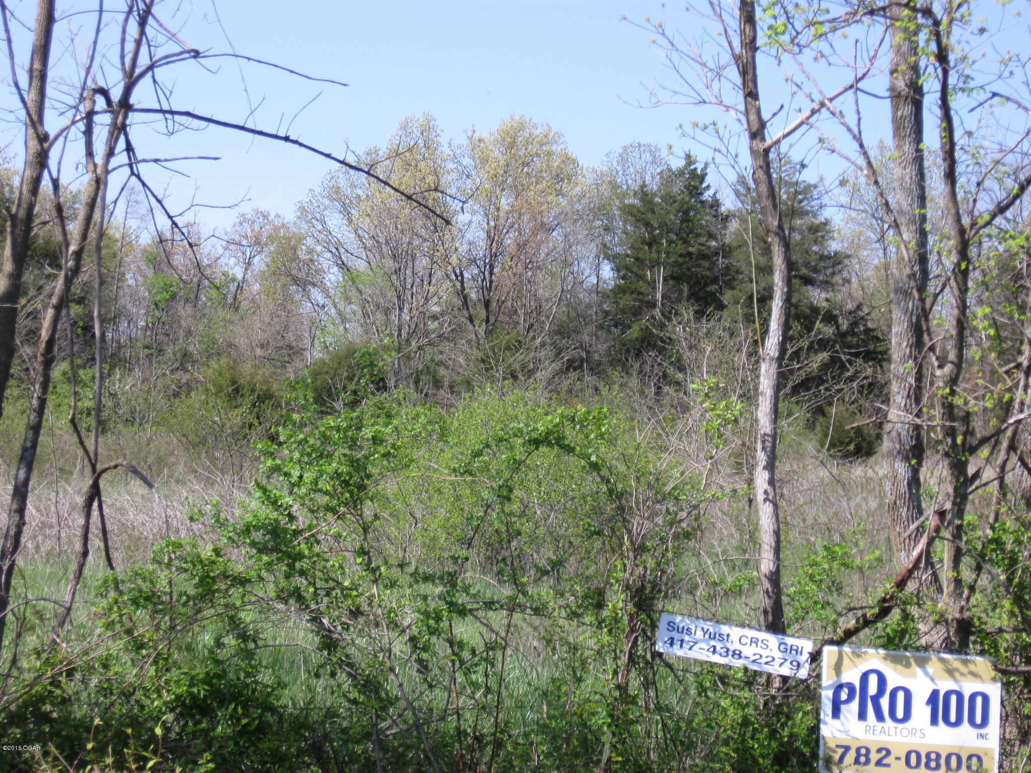 4 Tract 4 Elm Road Reeds, MO 64859 - Photo 1 of 1 Gallery Image 1