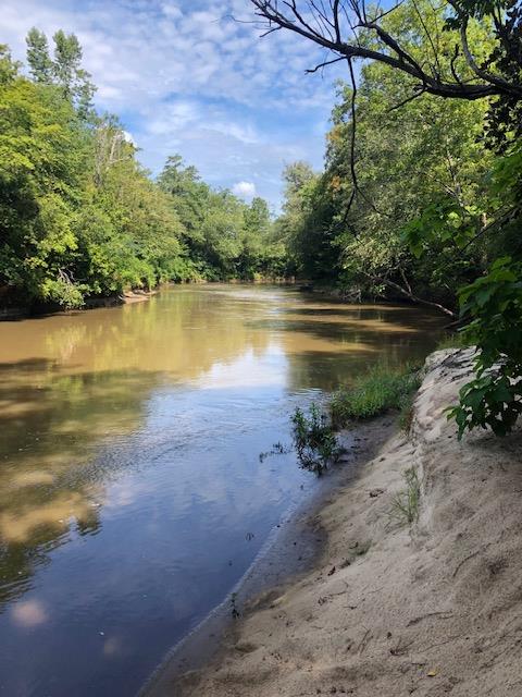 Undisclosed Address Midland City, AL 36350 - Photo 1 of 1