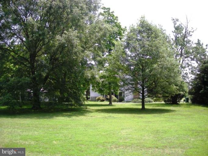 6329 Bozman Neavitt Road Neavitt, MD 21652 - Photo 18 of 19 View of the lot, approx. 1.45 ac.
