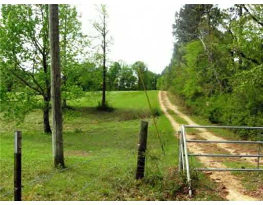 1079 Harold Brumfield Road Magnolia, MS 39652 - Photo 9 of 18