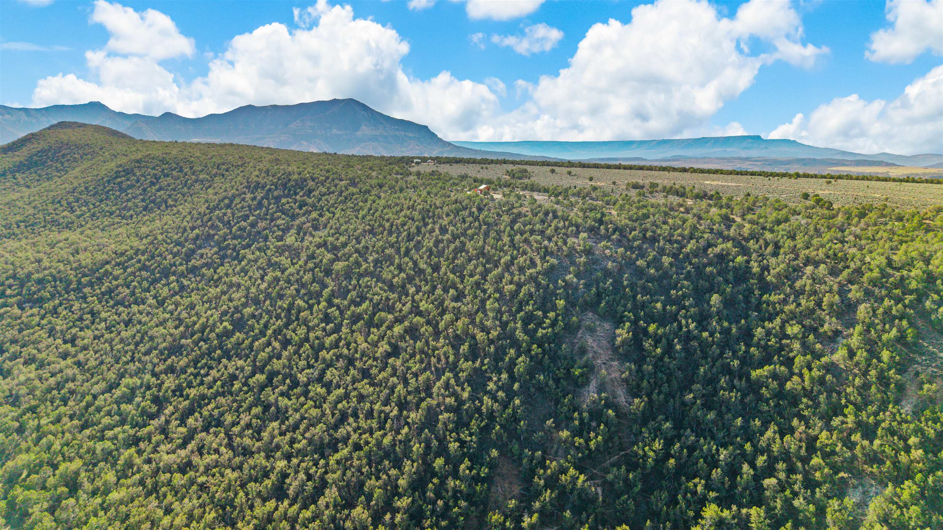 4193 V 5/10 Road De Beque, CO 81630 - Photo 12 of 39 a view of a lake