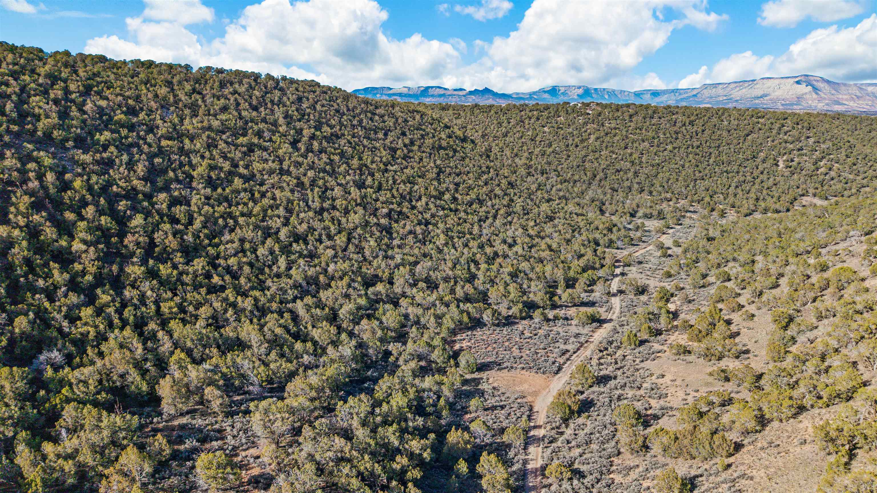 4193 V 5/10 Road De Beque, CO 81630 - Photo 33 of 39 a view of a pathway