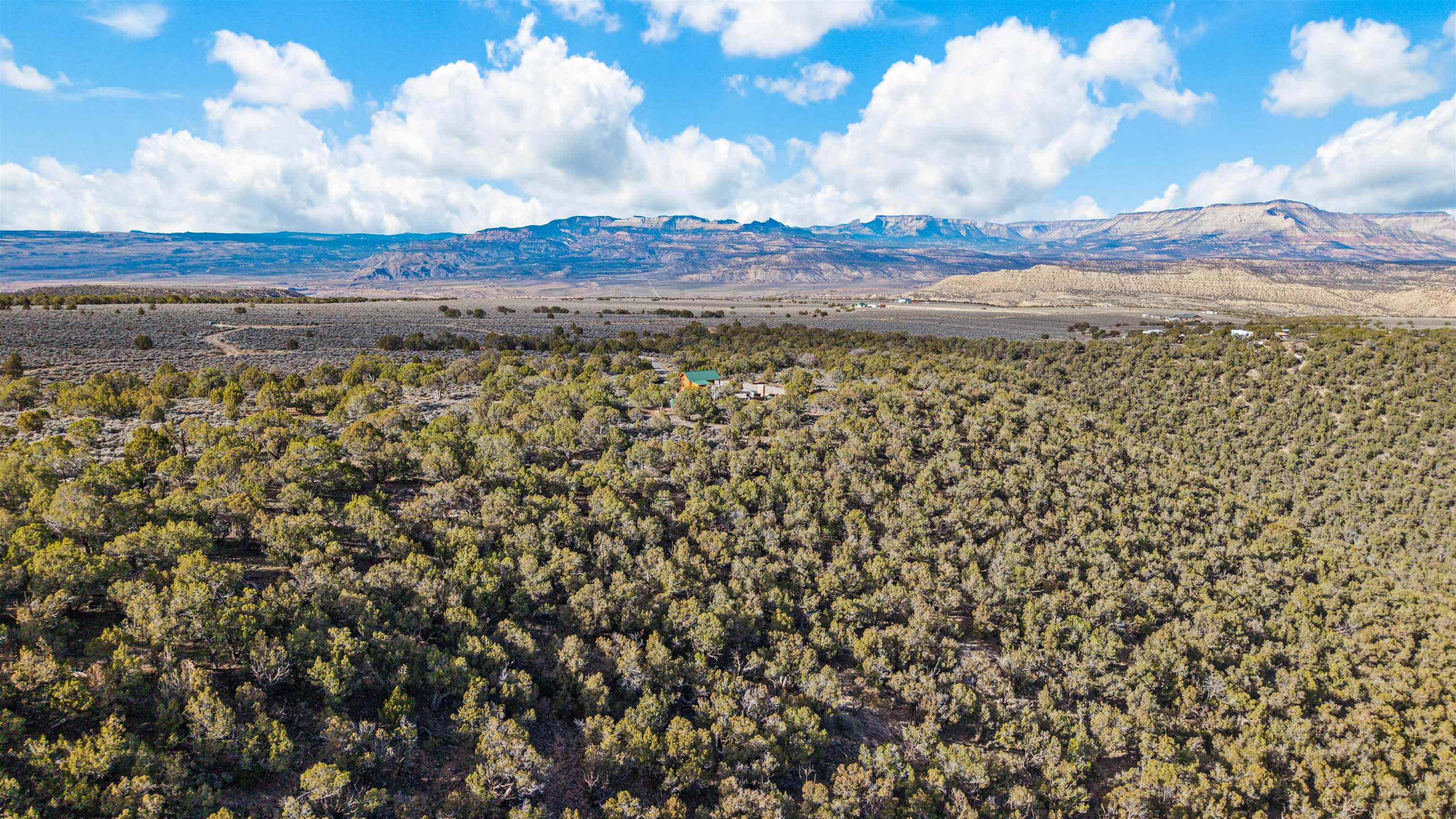 4193 V 5/10 Road De Beque, CO 81630 - Photo 37 of 39 a view of a bunch of trees and mountain