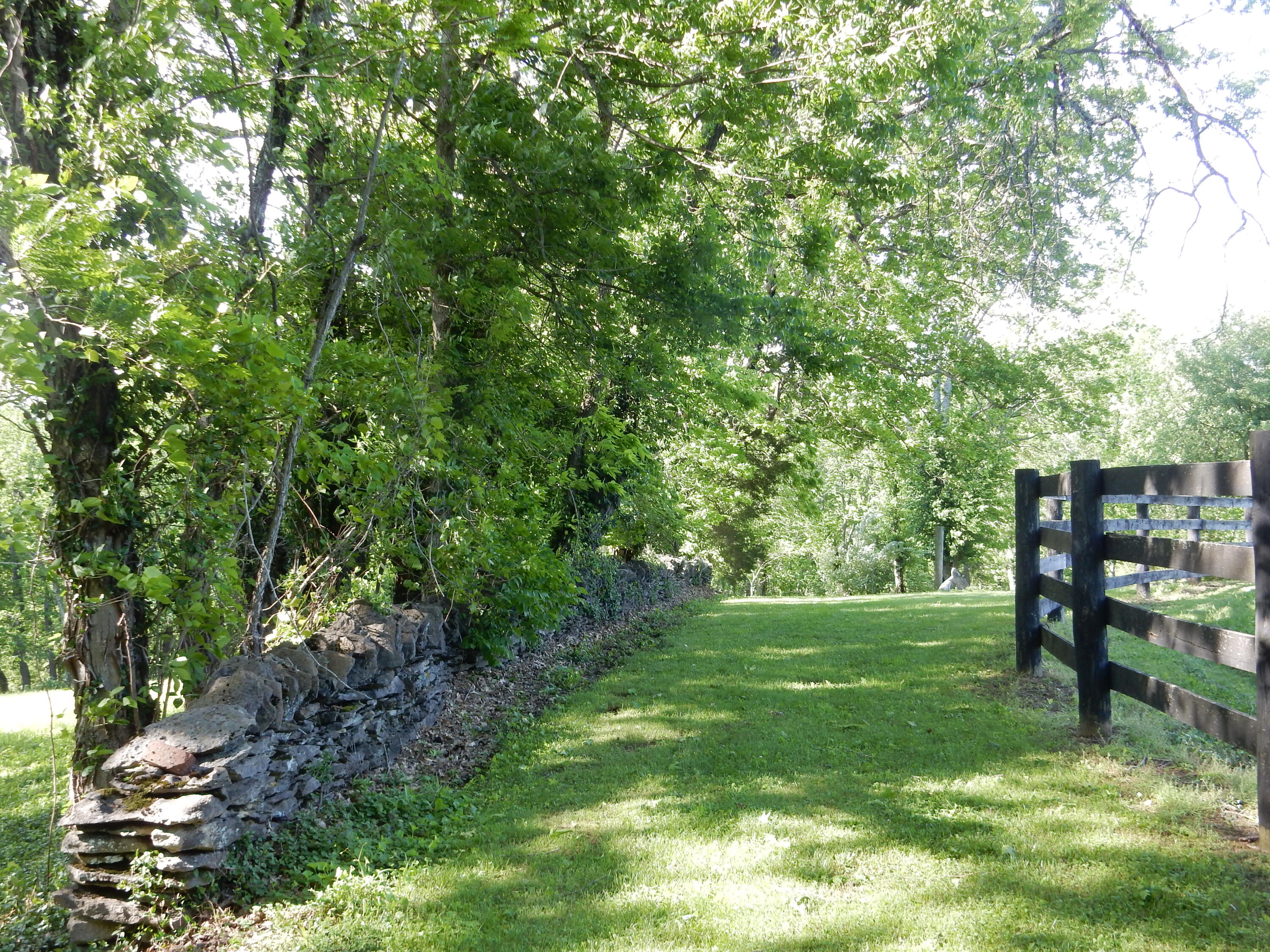 345 Boone Ridge Lane Lexington, KY 40515 - Photo 10 of 84 DSCN5958