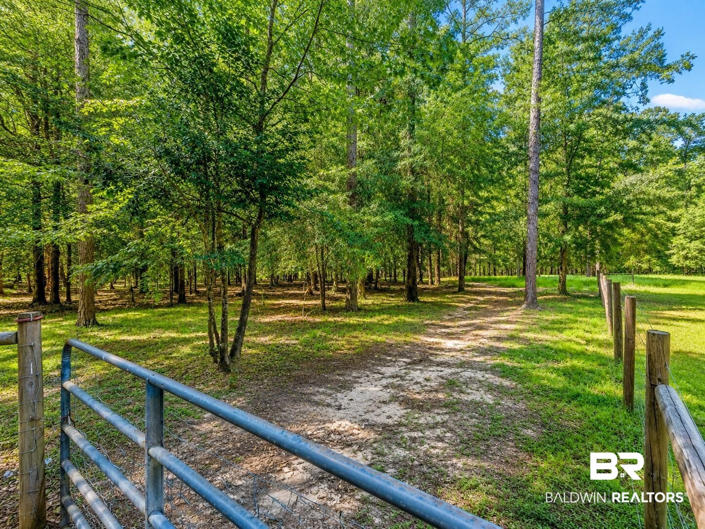 16560 Old Ganey Road Bay Minette, AL 36507 - Photo 47 of 52 Back Pasture