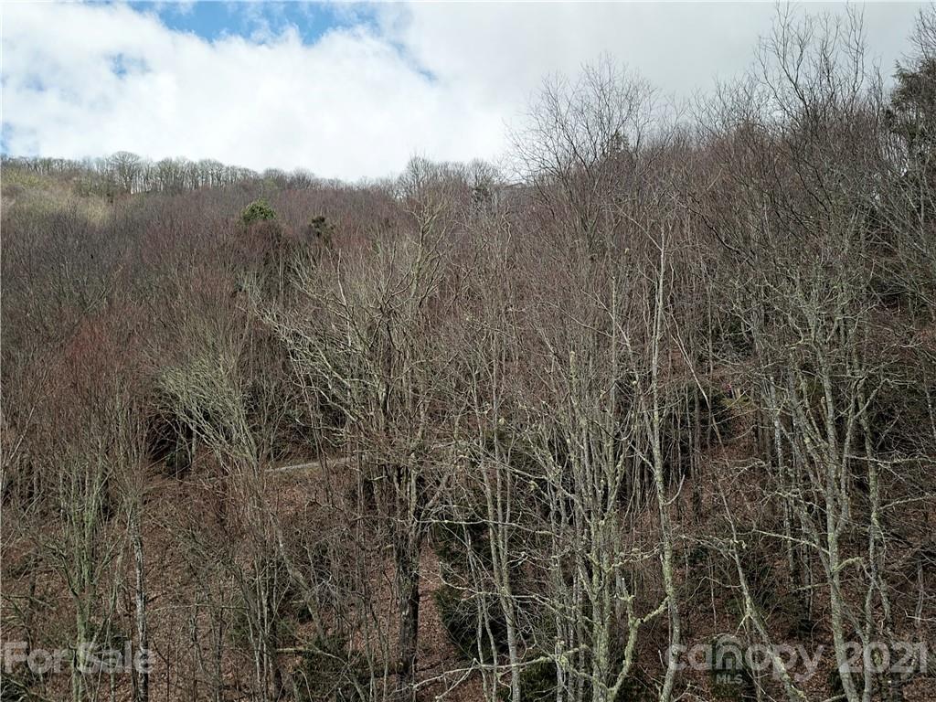 B4 Laurel Ridge North, Unit B4 Maggie Valley, NC 28751 - Photo 12 of 16 Gallery Image 12