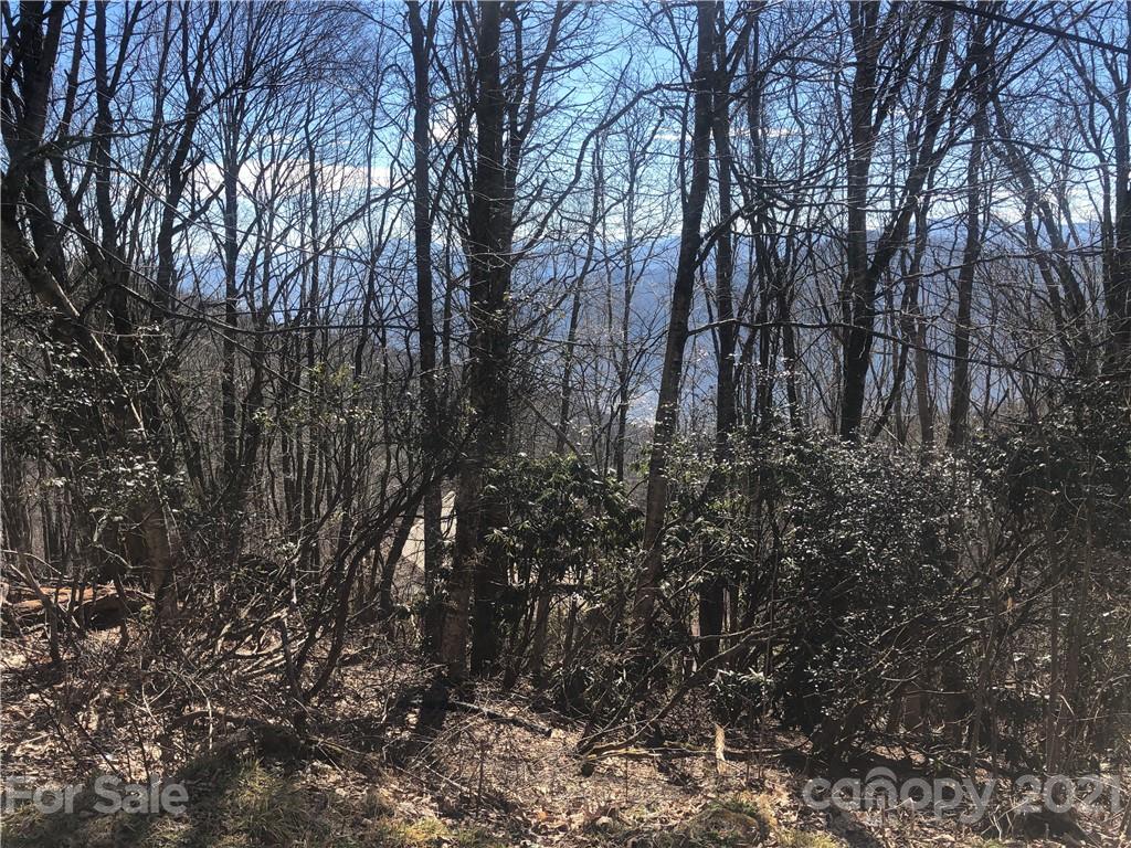B4 Laurel Ridge North, Unit B4 Maggie Valley, NC 28751 - Photo 4 of 16 Gallery Image 4