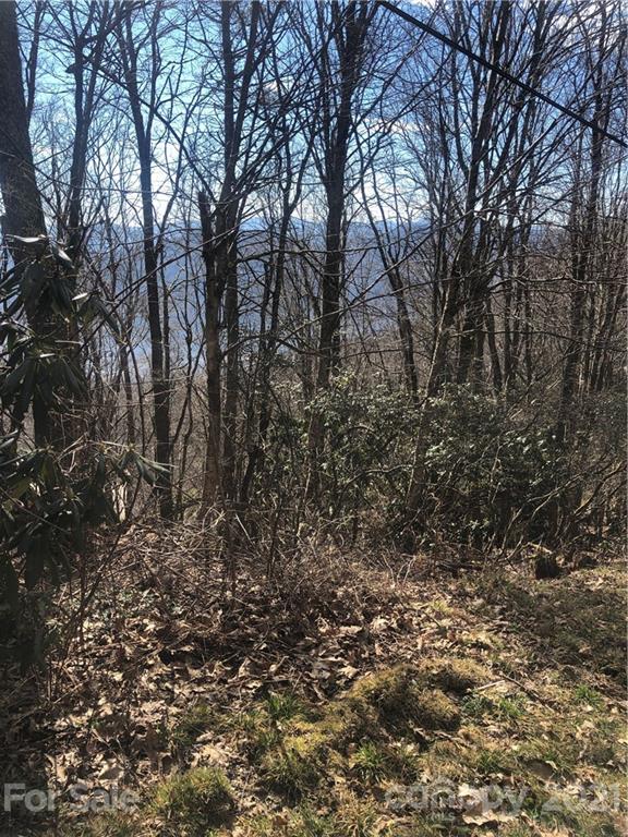 B4 Laurel Ridge North, Unit B4 Maggie Valley, NC 28751 - Photo 6 of 16 Gallery Image 6