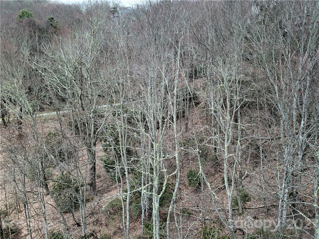 B4 Laurel Ridge North, Unit B4 Maggie Valley, NC 28751 - Photo 10 of 16 Gallery Image 10