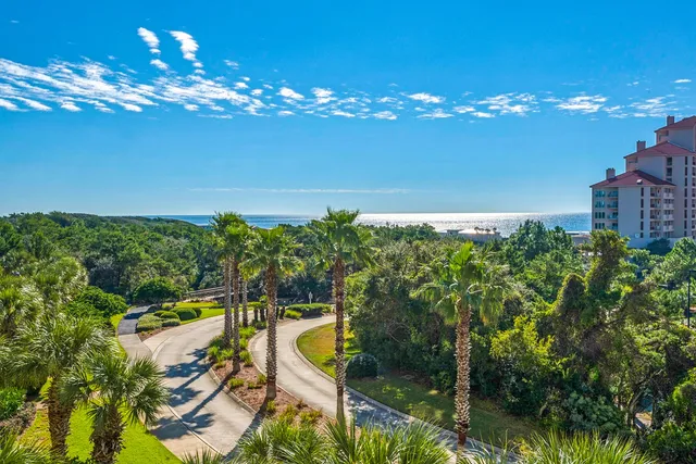 a view of a garden with a tree