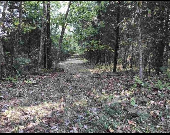 1981 Liberty Ridge Road Falmouth, KY 41040 - Photo 3 of 16 Gallery Image 3