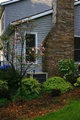 9143 Cotters Ridge Road Richland, MI 49083 - Photo 5 of 18 Additional Photo