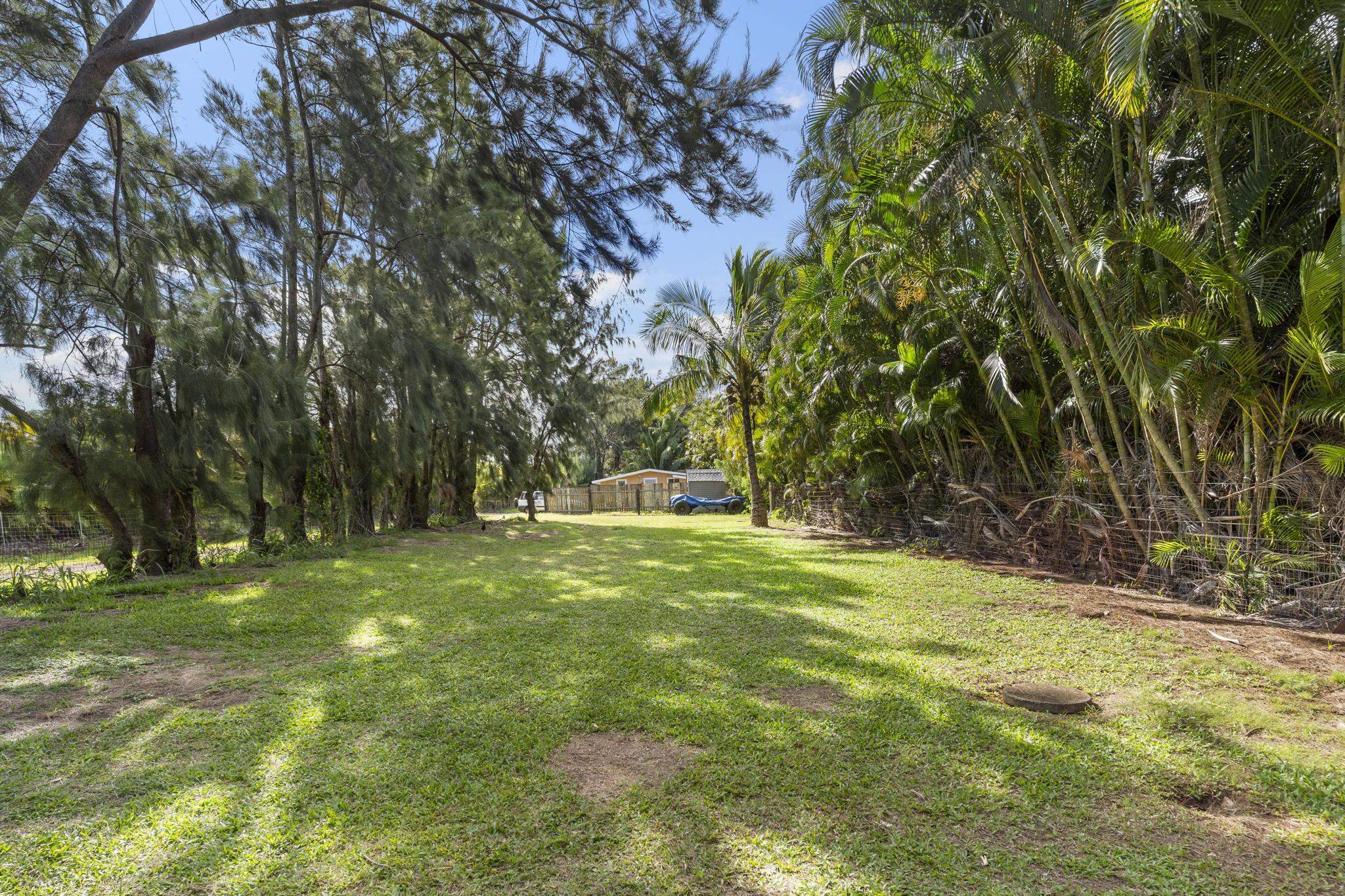 89 Nahele Road Haiku, HI 96708 - Photo 19 of 30 a fire hydrant in the middle of a field