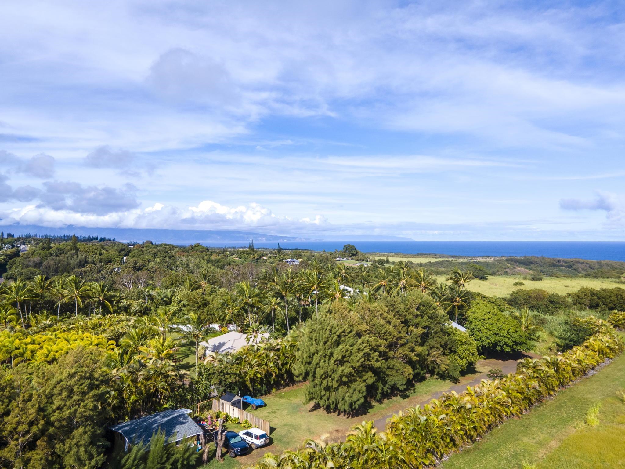 89 Nahele Road Haiku, HI 96708 - Photo 28 of 30