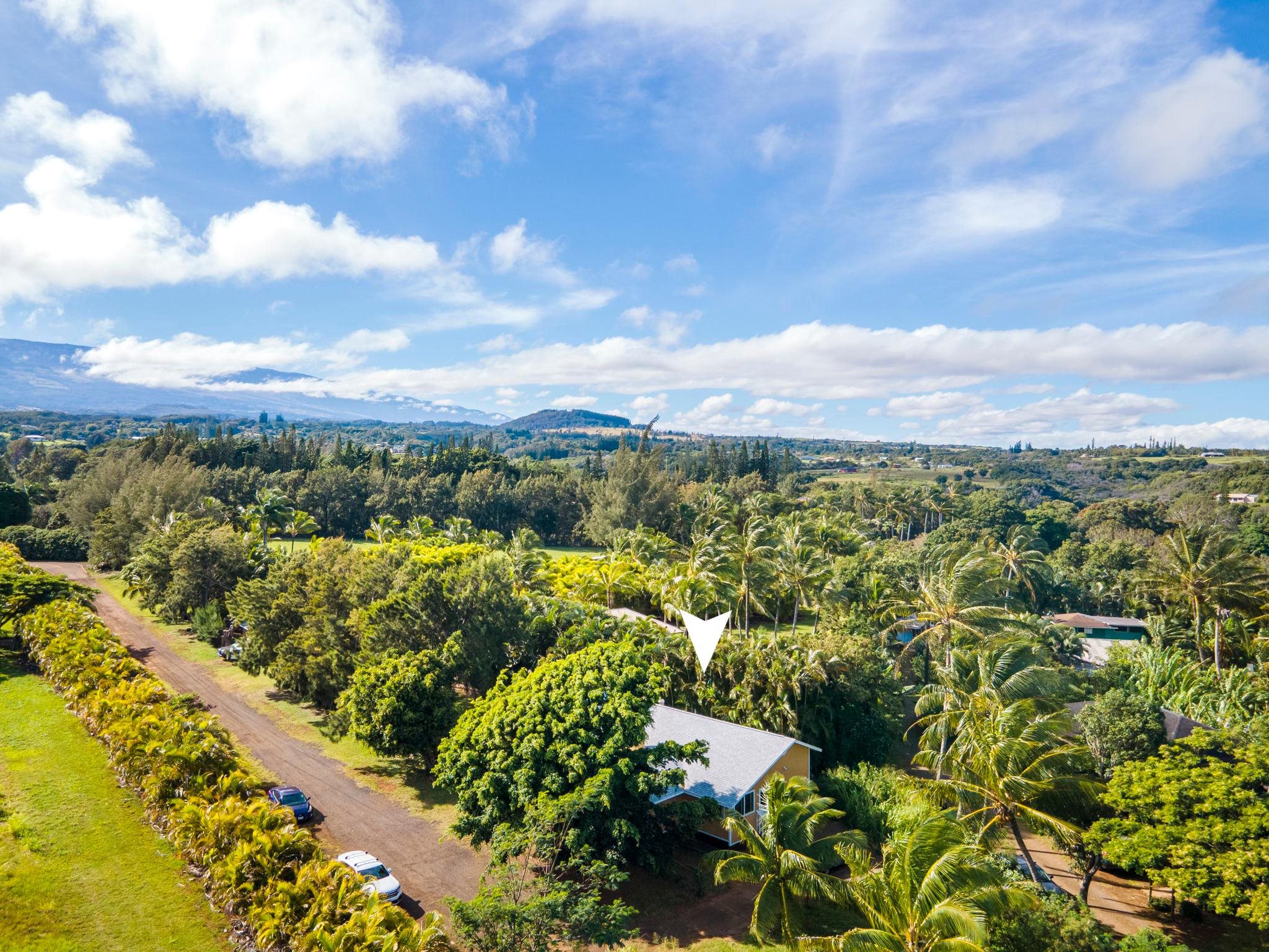 89 Nahele Road Haiku, HI 96708 - Photo 29 of 30 a view of a city with lush green forest