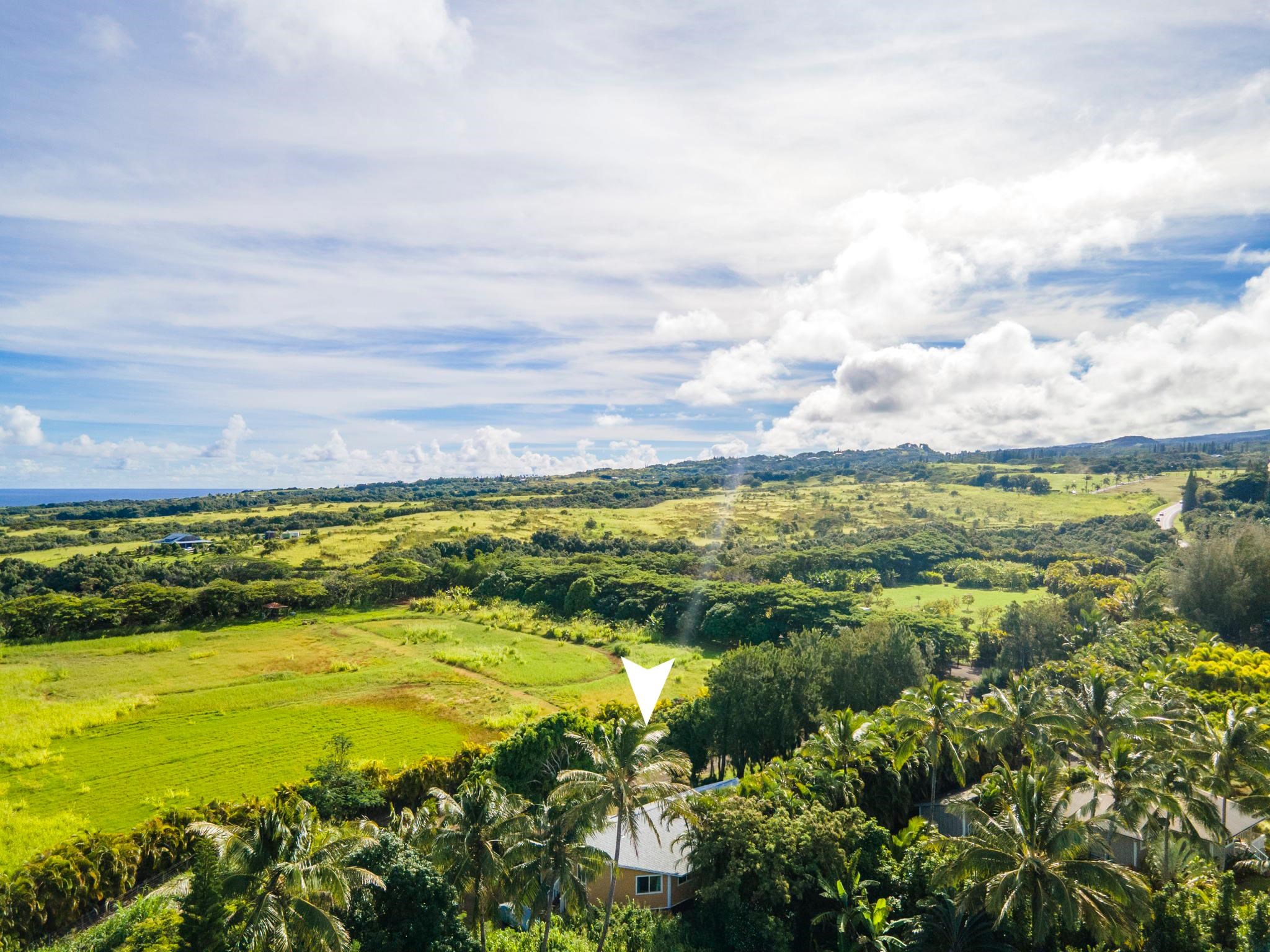 89 Nahele Road Haiku, HI 96708 - Photo 30 of 30 a view of an ocean