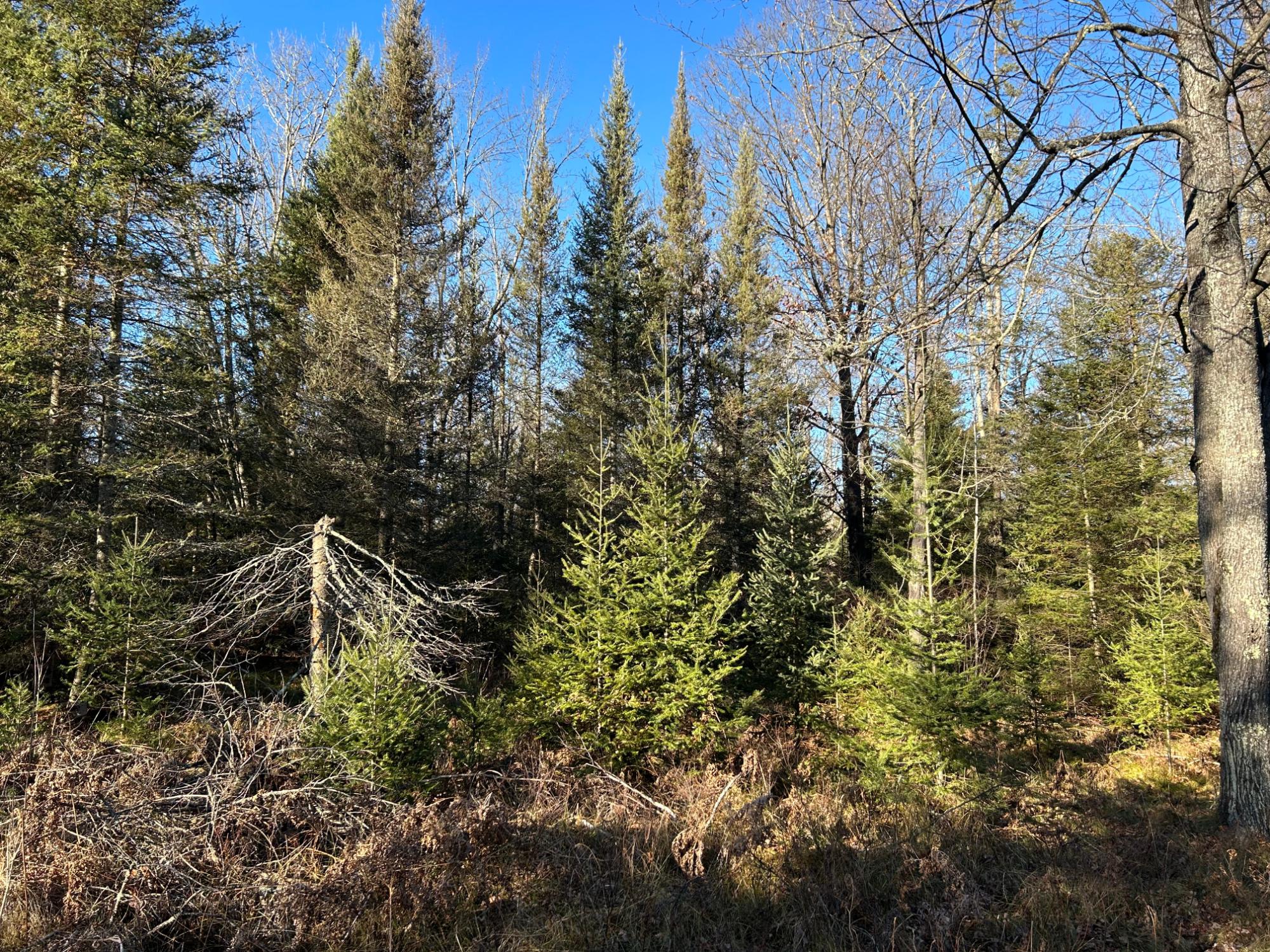 5902 River Road Eagle River, WI 54521 - Photo 8 of 10 Gallery Image 8