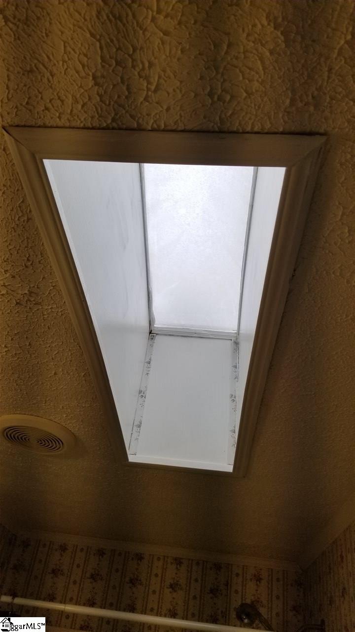 251 East Preston McDaniel Road Pickens, SC 29671 - Photo 25 of 36 Skylight in secondary bathroom