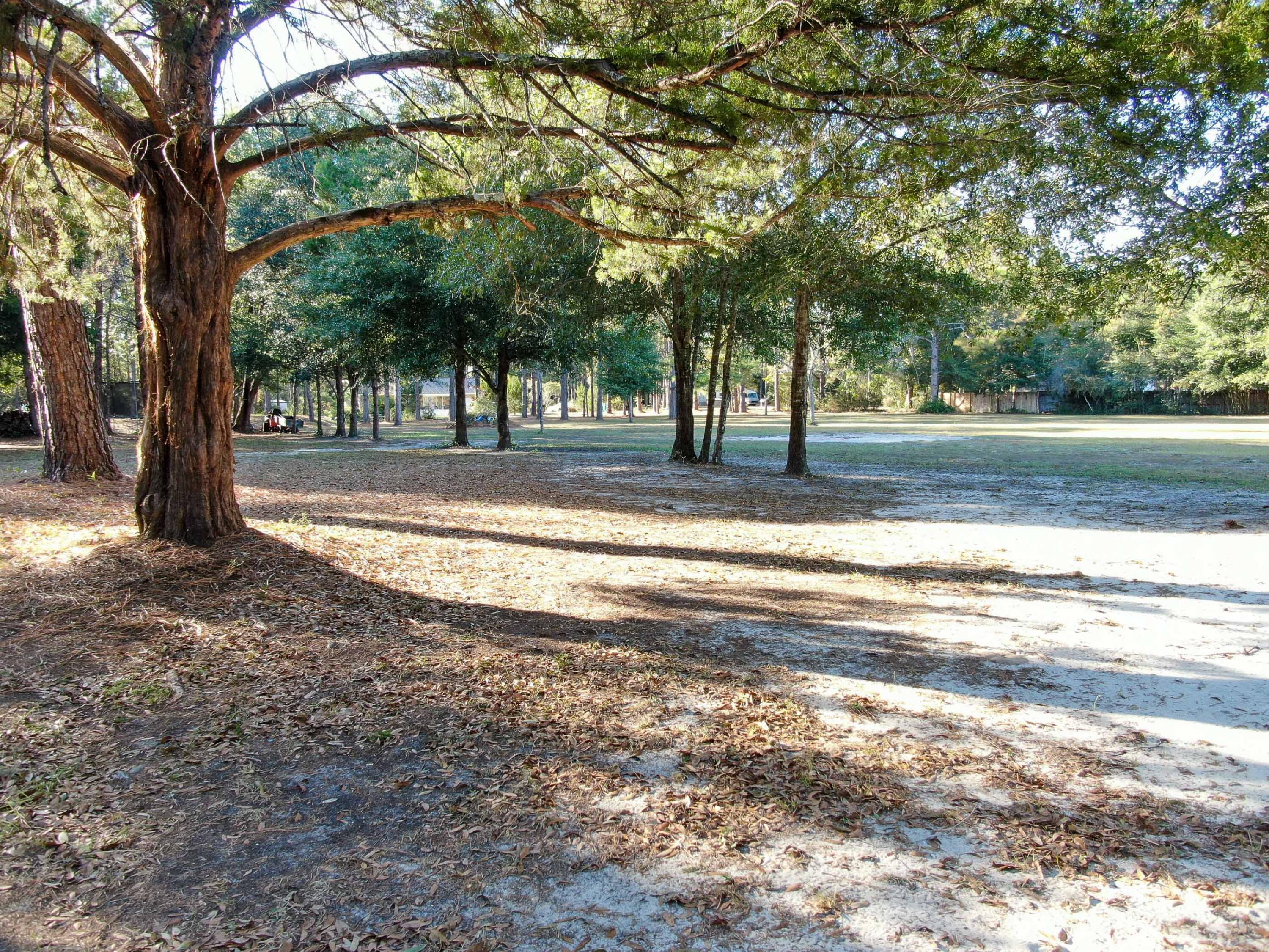140 Andy Nowling Road DeFuniak Springs, FL 32433 - Photo 10 of 22 Gallery Image 10