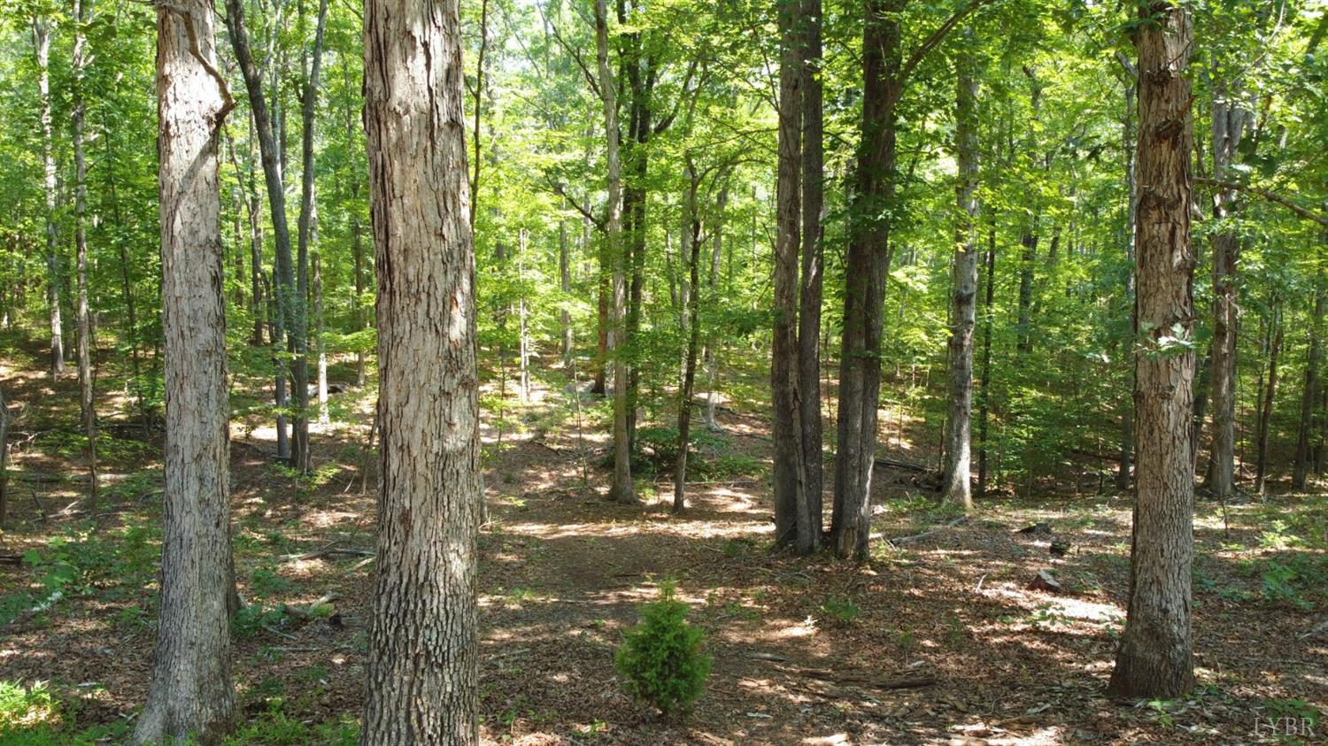 421 Coleman Road Dillwyn, VA 23936 - Photo 5 of 23 Gallery Image 5