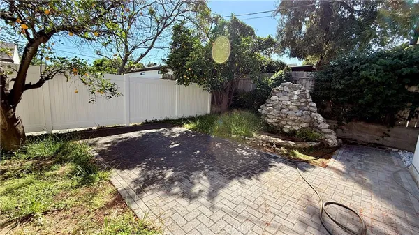 a view of a yard with plants and trees