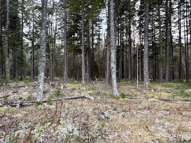 681 Duck Cove Road Roque Bluffs, ME 04654 - Photo 40 of 67 IMG_3746