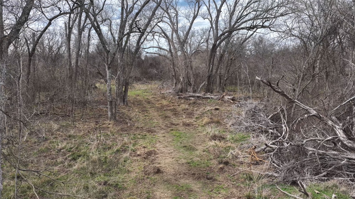 256 Greasy Bend Road Smithville, TX 78957 - Photo 11 of 36 View of undeveloped land