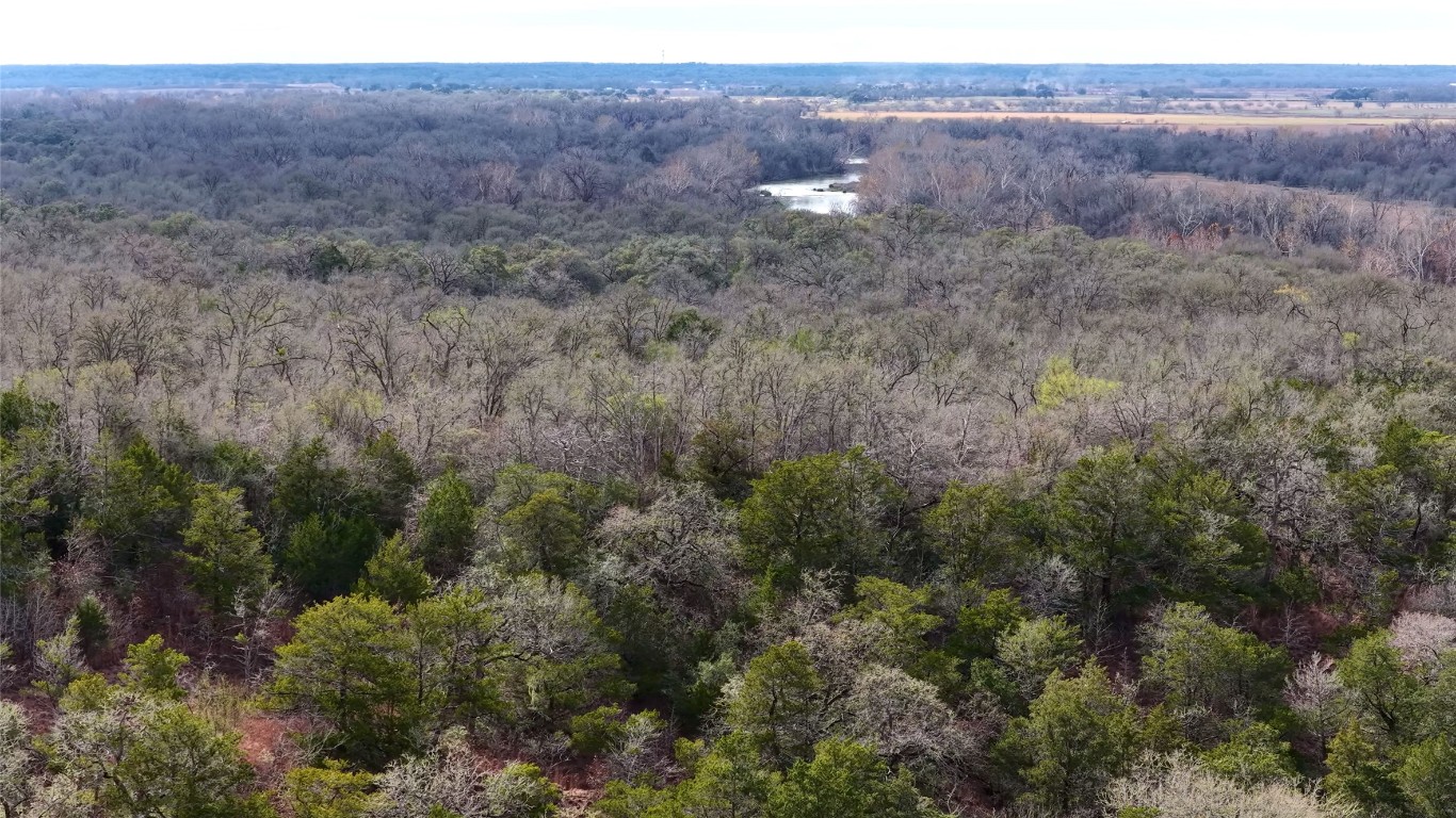 256 Greasy Bend Road Smithville, TX 78957 - Photo 18 of 36 Aerial view of a heavily wooded area and a large body of water