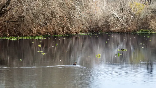 $2,100,000 | 256 Greasy Bend Road, Smithville, TX 78957