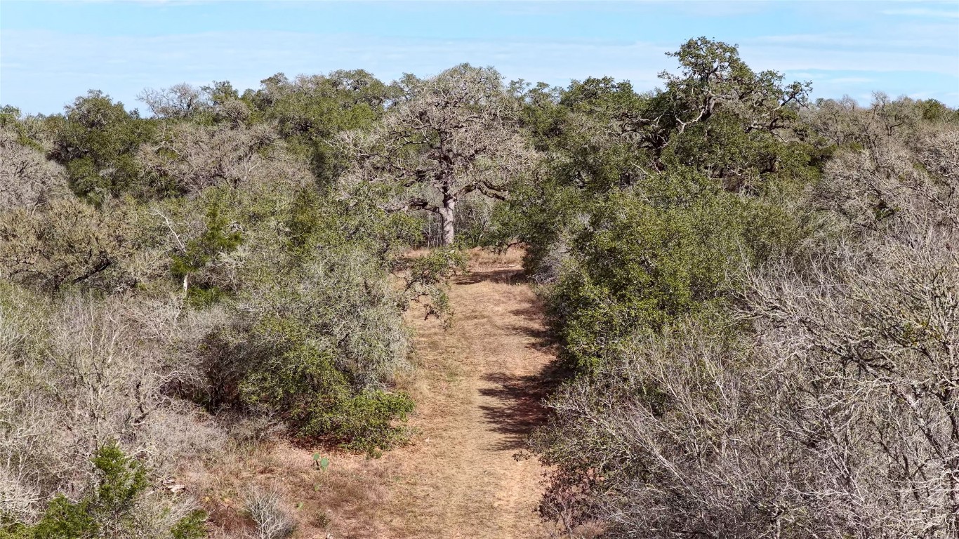 256 Greasy Bend Road Smithville, TX 78957 - Photo 22 of 36 View of undeveloped land