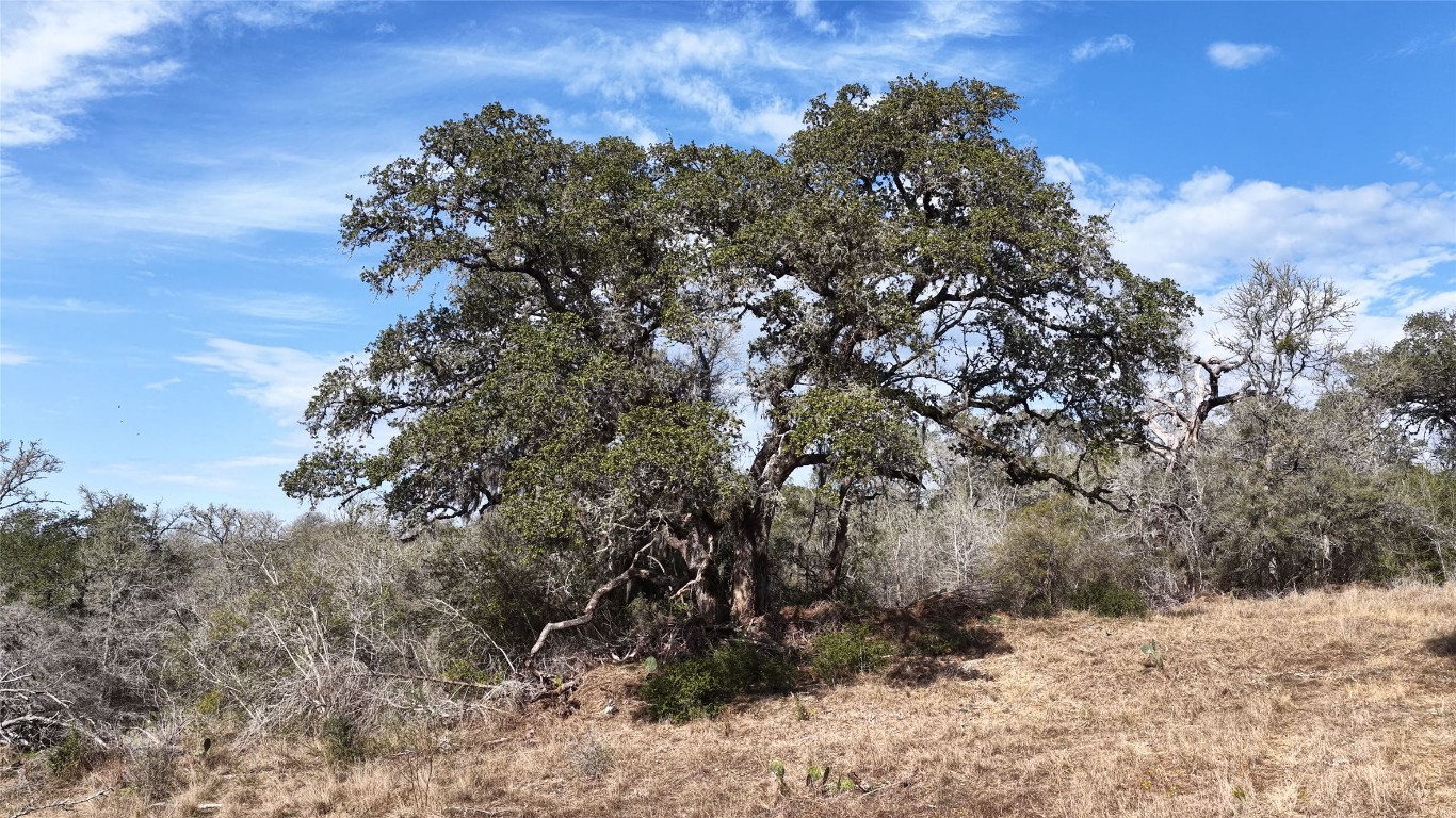 256 Greasy Bend Road Smithville, TX 78957 - Photo 23 of 36 View of undeveloped land