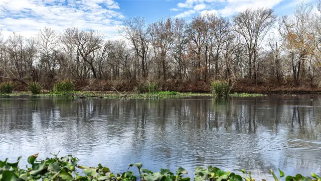 $2,100,000 | 256 Greasy Bend Road, Smithville, TX 78957