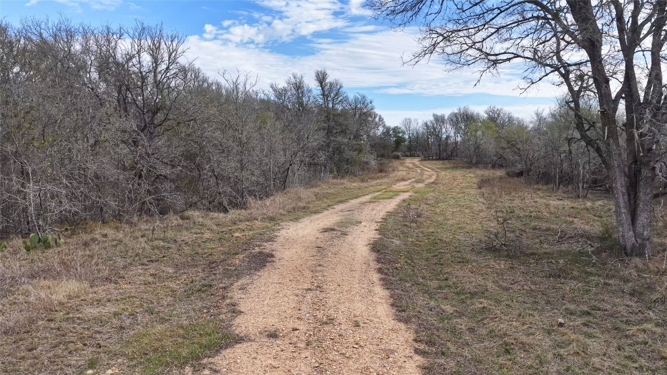 256 Greasy Bend Road Smithville, TX 78957 - Photo 30 of 36 View of road featuring a view of trees