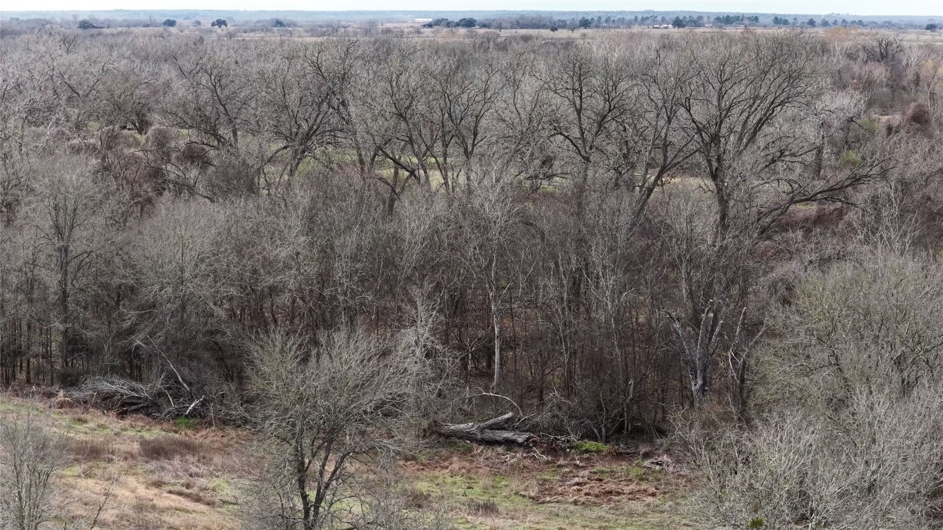 256 Greasy Bend Road Smithville, TX 78957 - Photo 33 of 36 View of woods