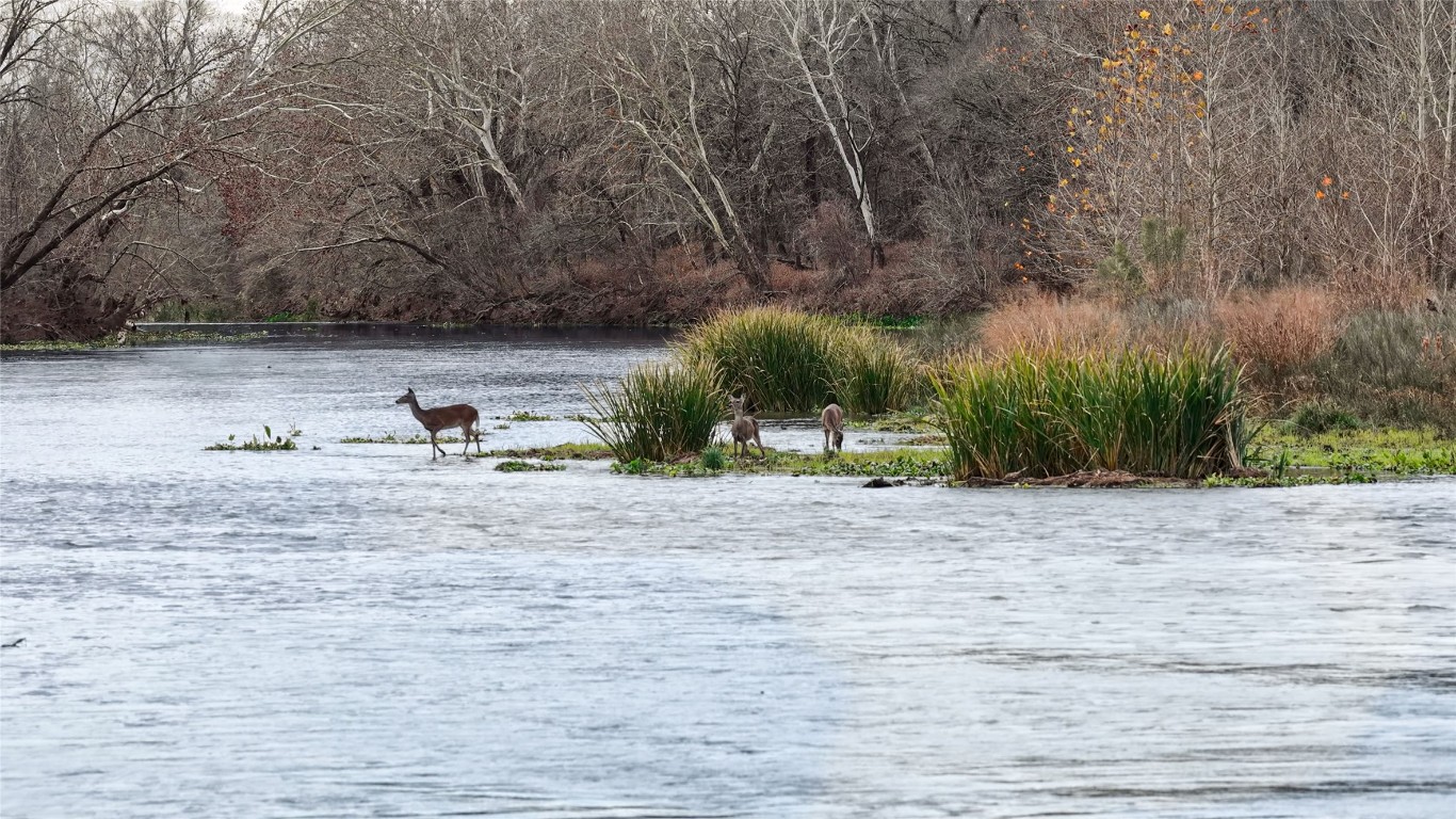 256 Greasy Bend Road Smithville, TX 78957 - Photo 34 of 36 Water view