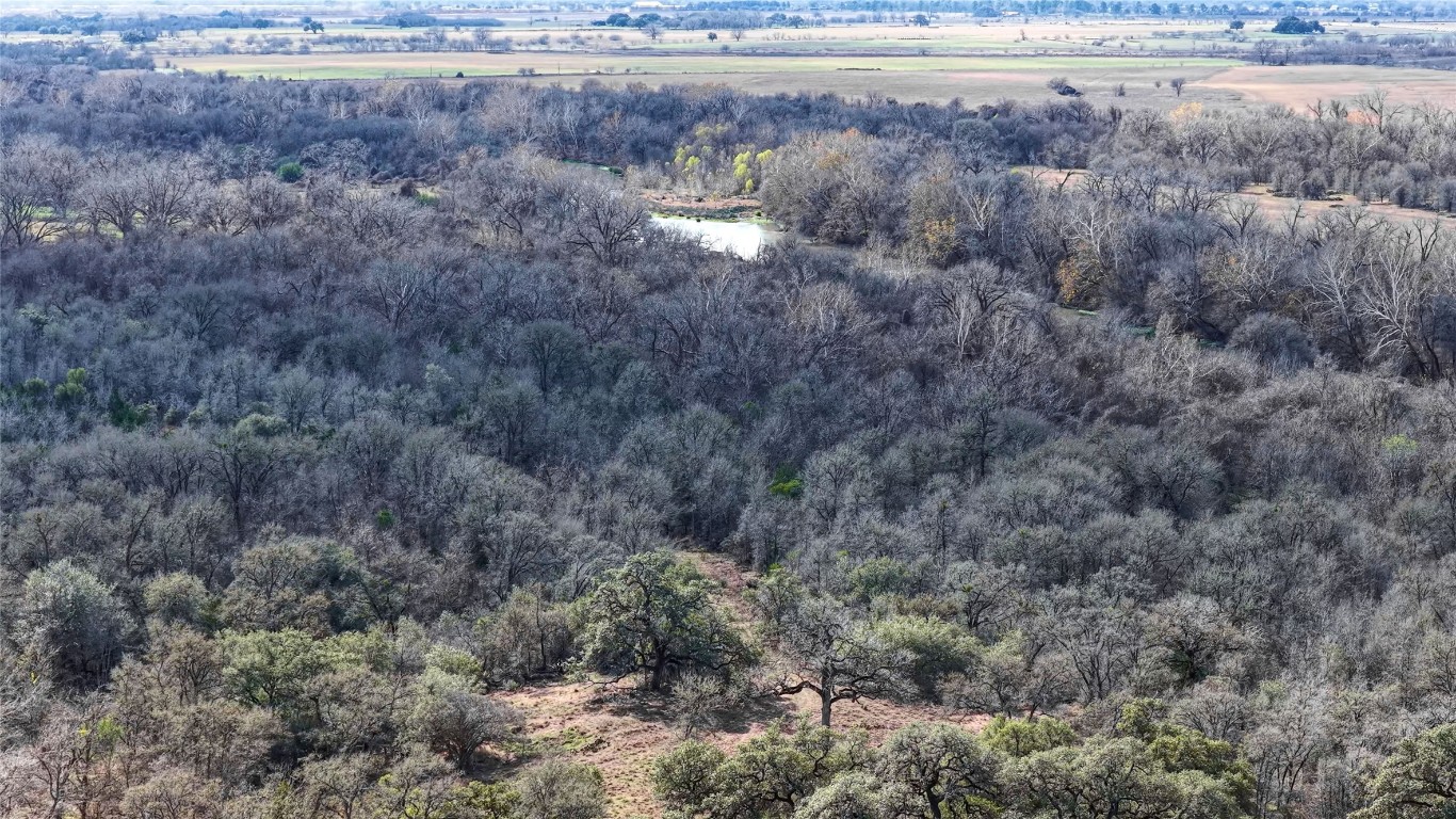 256 Greasy Bend Road Smithville, TX 78957 - Photo 35 of 36 Bird's eye view of a forest