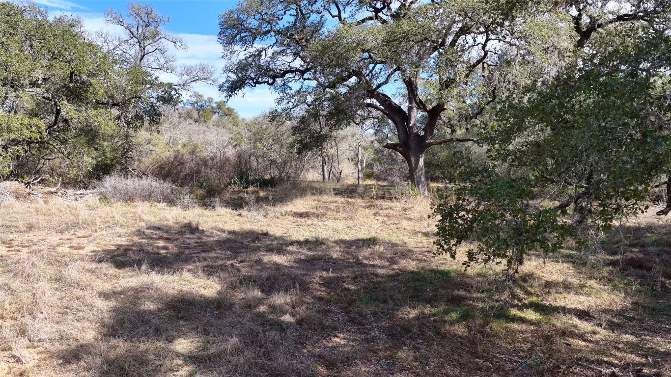 256 Greasy Bend Road Smithville, TX 78957 - Photo 36 of 36 View of undeveloped land