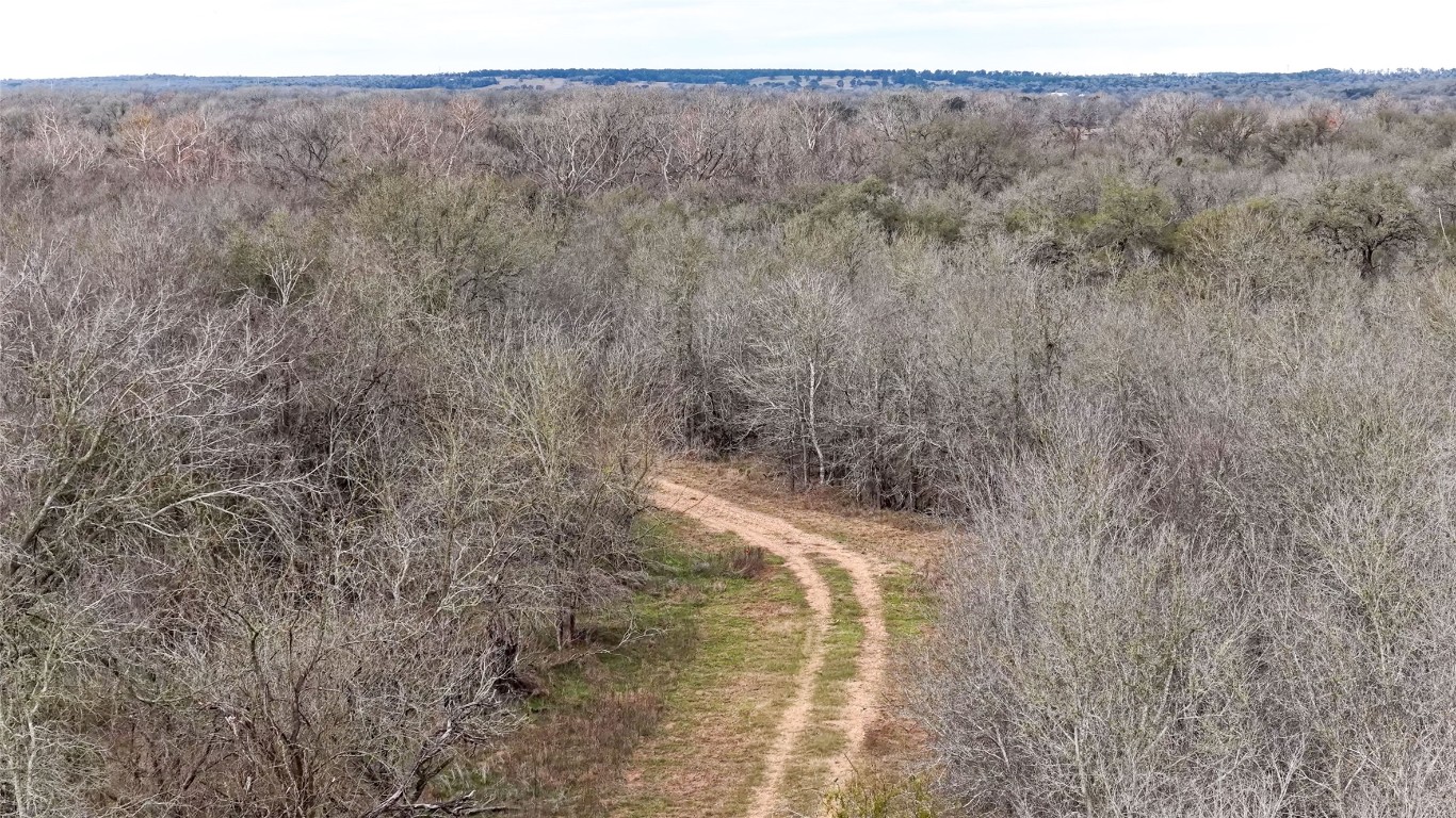 256 Greasy Bend Road Smithville, TX 78957 - Photo 5 of 36 Drone / aerial view of a heavily wooded area