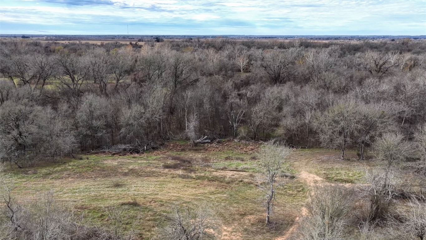 256 Greasy Bend Road Smithville, TX 78957 - Photo 7 of 36 Drone / aerial view