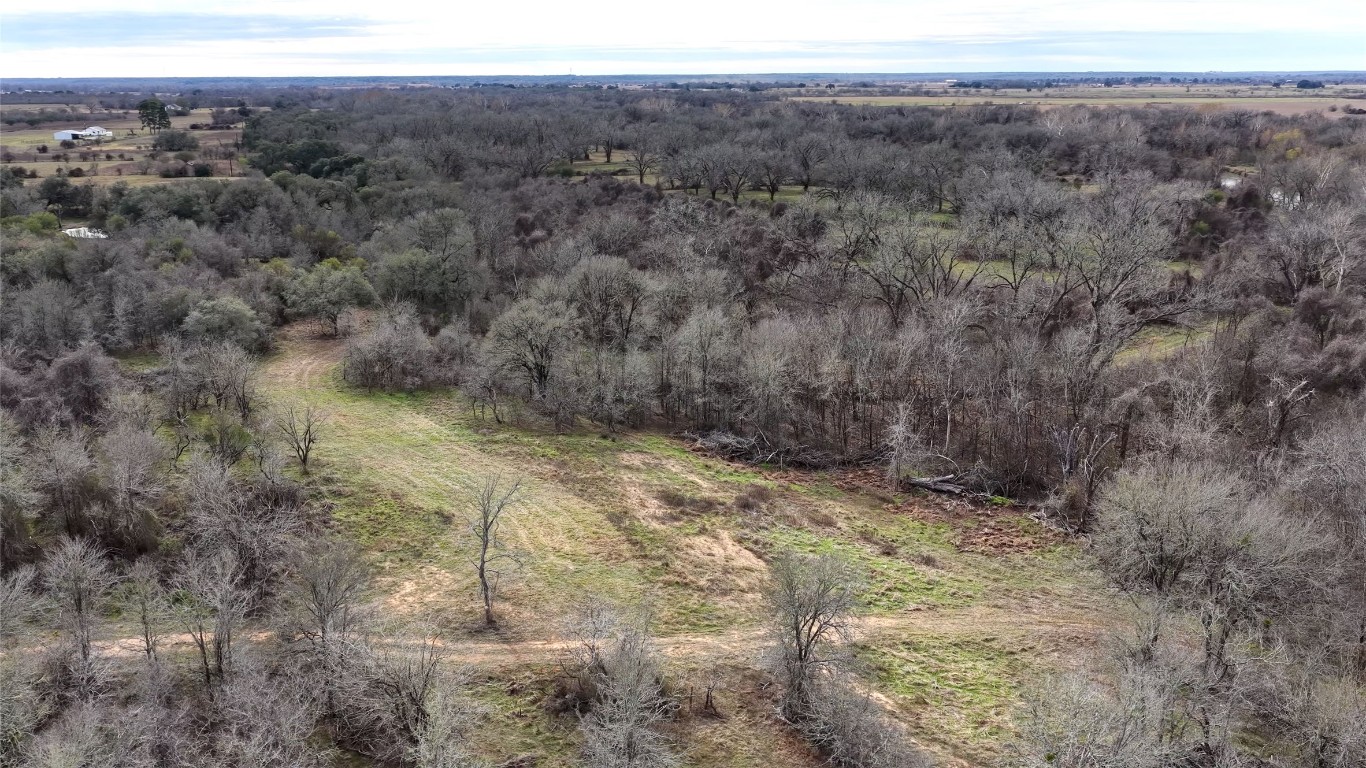 256 Greasy Bend Road Smithville, TX 78957 - Photo 10 of 36 Aerial view of a forest