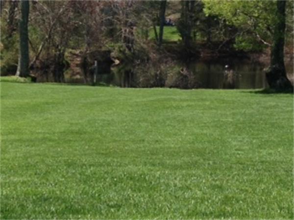 689 Walnut Plain Road Rochester, MA 02770 - Photo 3 of 22 a view of green field with trees