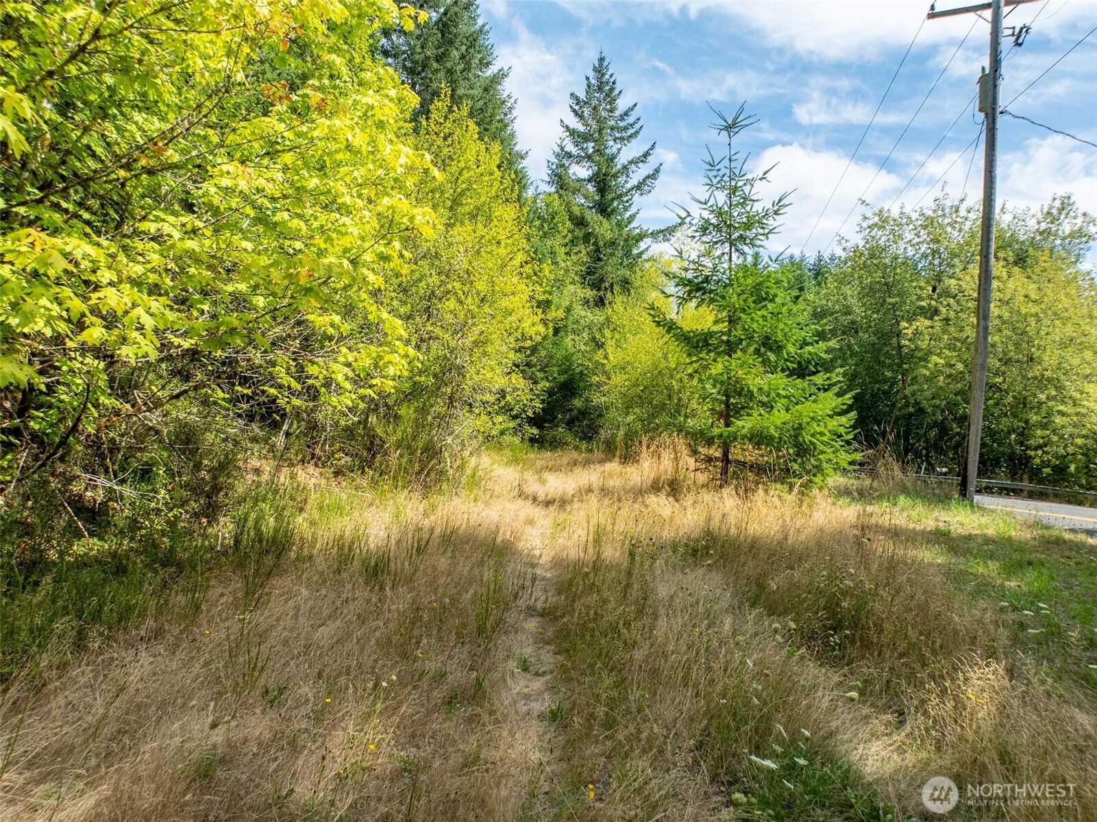 0 Lincoln Creek Road Rochester, WA 98579 - Photo 6 of 12 Gallery Image 6