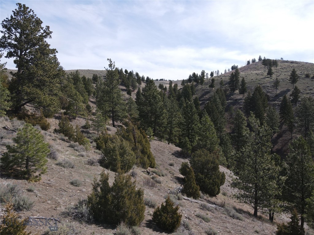 55 Upper Ross Gulch Road Townsend, MT 59644 - Photo 12 of 18 Gallery Image 12