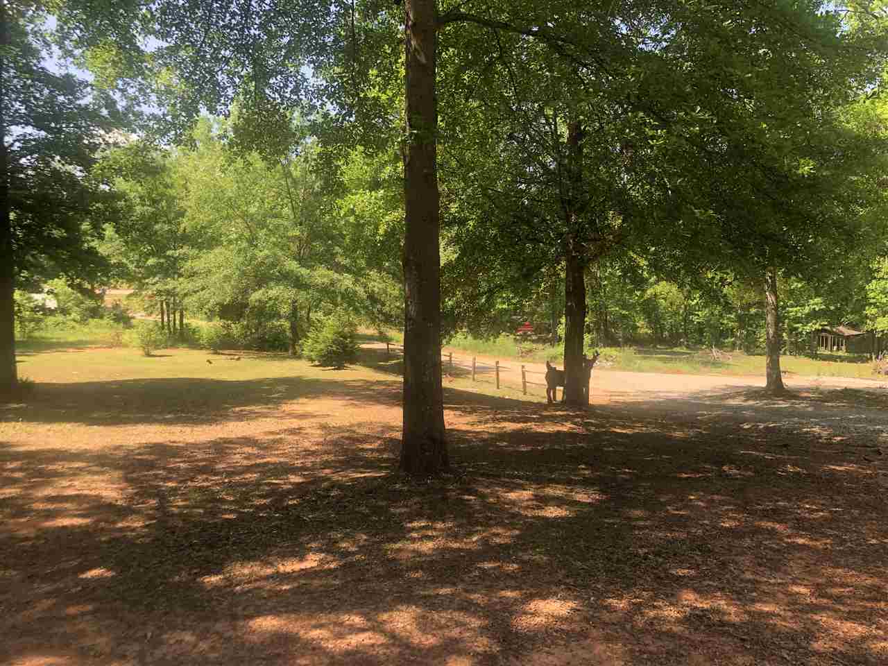 826 State Rd S-42-1564 Chesnee, SC 29323 - Photo 31 of 34 Gallery Image 31