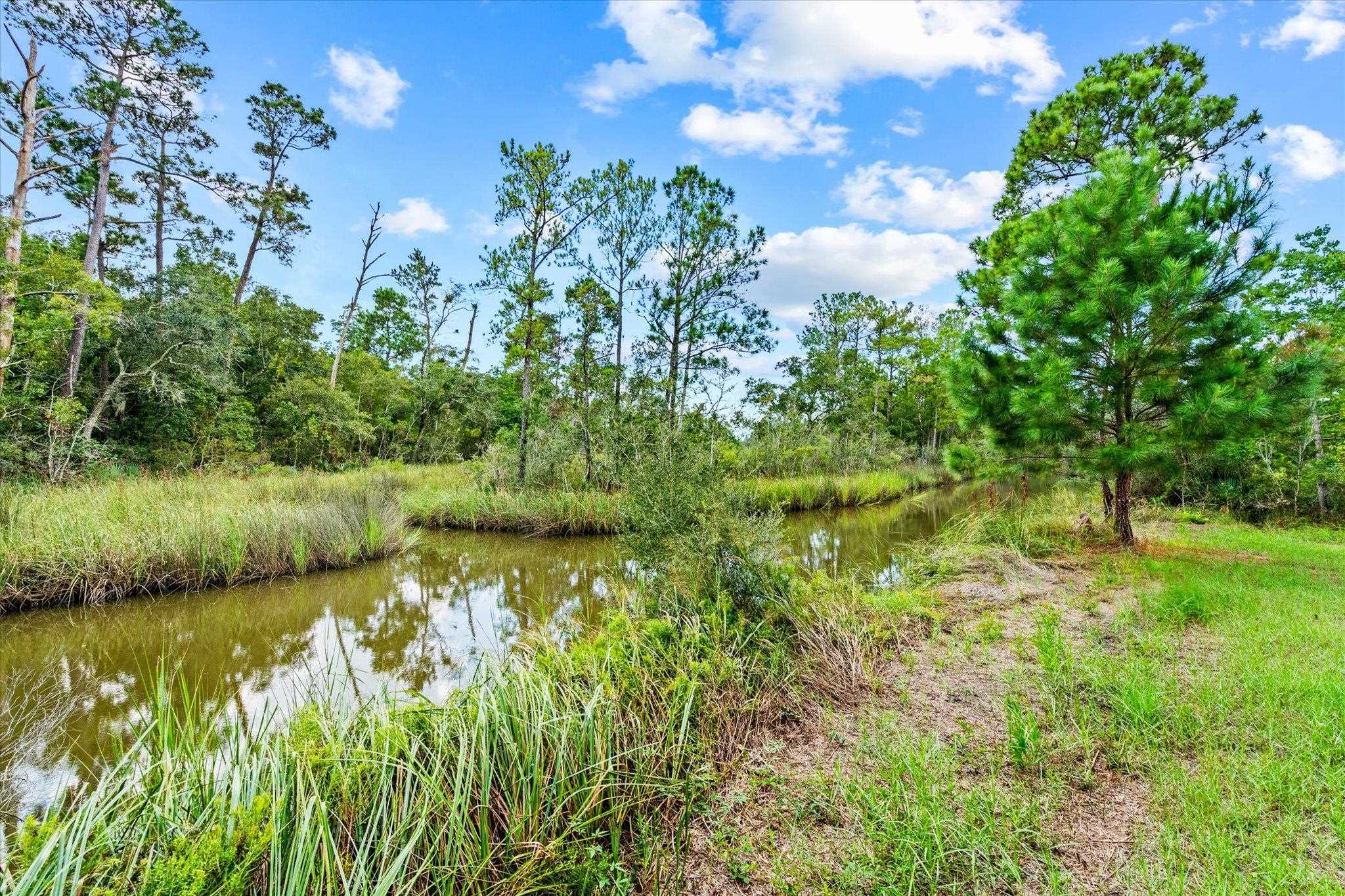 16808 Witt Road Bon Secour, AL 36511 - Photo 12 of 31 View